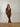 Tailleur